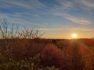 4 person holiday home in Nørre Nebel - 2