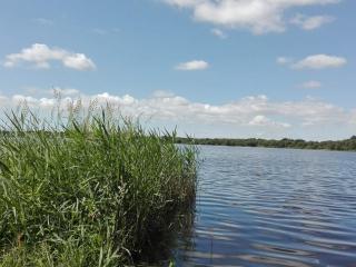 Secluded Oasis by Kvie Lake-By Traum - 5