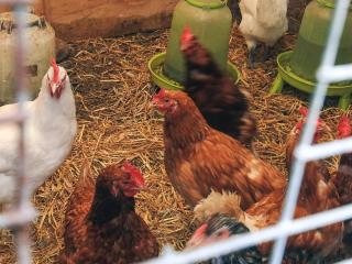 4 star holiday home in Asaa - 1