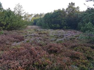 2 person holiday home in Tarm-By Traum - 3