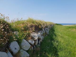 Tranquil Cottage Retreat in Lokken-By Traum - 5