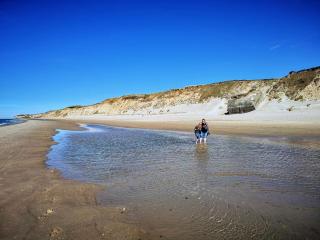 Tranquil Cottage Retreat in Lokken-By Traum - 3