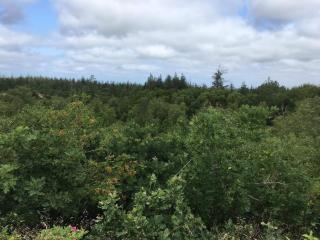 4 person holiday home in Oksbøl-By Traum - 4