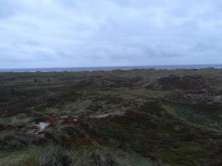 4 person holiday home in Oksbøl-By Traum - 1