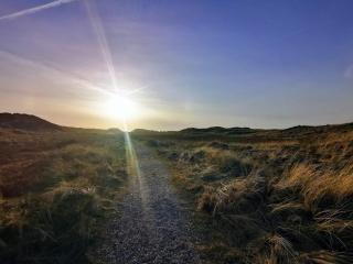 8 person holiday home in Ringkøbing - 5