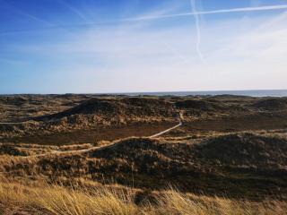 8 person holiday home in Ringkøbing - 9