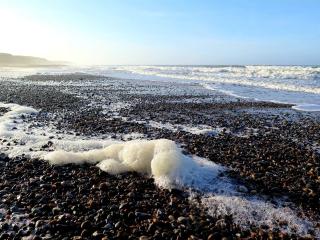 8 person holiday home in Ringkøbing - 3