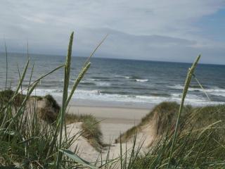 8 person holiday home in Ringkøbing - 1