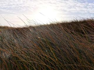 8 person holiday home in Ringkøbing - 4