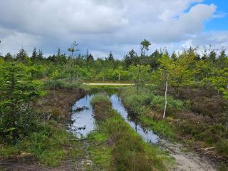 24 persons holiday home in Nørre Nebel - 1