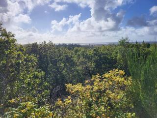 24 persons holiday home in Nørre Nebel - 3