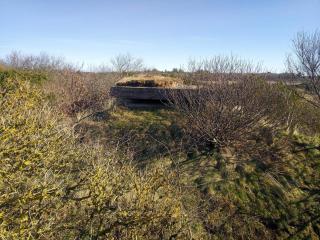 4 person holiday home in Skjern-By Traum - 1