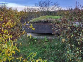 4 person holiday home in Skjern-By Traum - 3