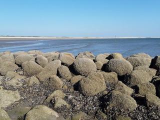 Spacious Retreat with View - By Traum Ferienwohnungen - 2