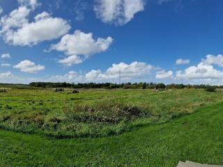 6 person holiday home in Oksbøl-By Traum - 1