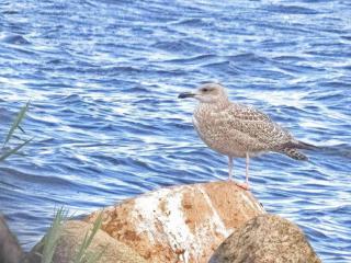 Secluded Haven near Fjord - By Traum Ferienwohnungen - 1
