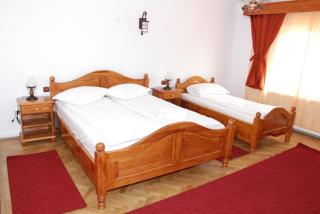 Vila Nicoleta - Sibiu - 1