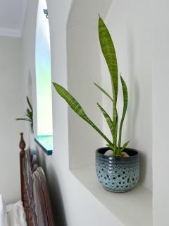 Hostel Castell Di Madre - 6