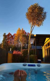 Ski Country Chalet - 8