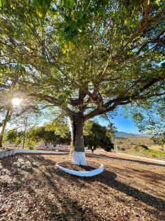 Casa Park - 1 km do Parque Aquático mais amado do circuito das Águas - Águas de Lindóia - 8