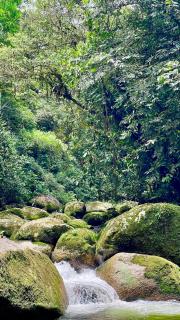 Hidden Heaven MK - Your Oasis in Nature - 3