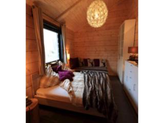 Ferienhaus im Harz mit Sauna und Kamin - 1