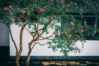 Anlan Creek Spring B&B - 8