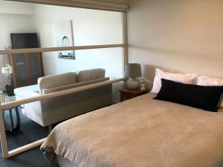 THE WATERFRONT APARTMENTS 1 Bedroom Studio Apartment with Street Views located on the Geelong Waterfront - 4608 - 1