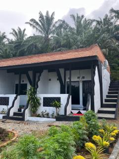 D'CELVIN LODGES Bukit Lawang - 9