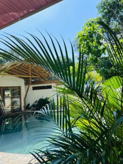 Alina Farm Resort- One Bedroom Cabin - 1