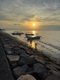 Rumi Bumi - Lovina Rice Terrace Retreat - 4