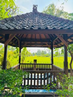 Rumi Bumi - Lovina Rice Terrace Retreat - 5