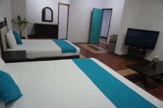 Hotel DaMar Puerto Vallarta - 8