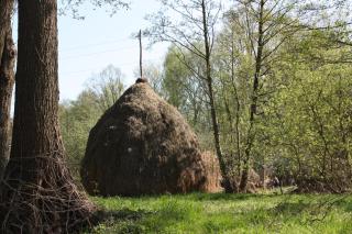 Lutkistube in Lübben - 2