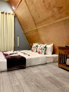 River Nest Hostel - 4