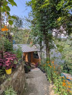 Mochileros Cherry Tree House - 9