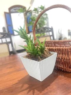 Villa Solara Bay - 5