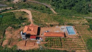 Mountain Mist by Tripture - 9