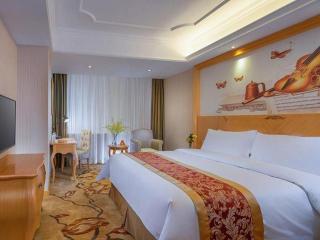 Vienna Hotel Shenzhen Longgang Dayun Center Branch - 3