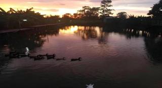 Banter Resort - Buriram - 5