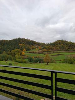 Cabana 3 Stejari Maramureș - 1