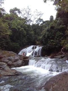 La Ceiba Ecoadventures Refugio de vida silvestre - 2