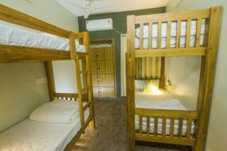 Journey junction backpackers hostel - 9