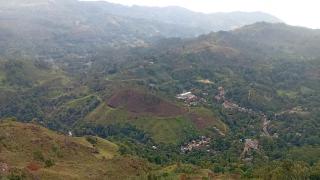 Windyhill Shalley - 2