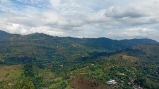 Windyhill Shalley - 1