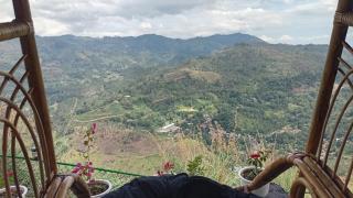 Windyhill Shalley - 8