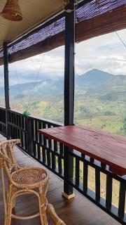 Windyhill Shalley - 4