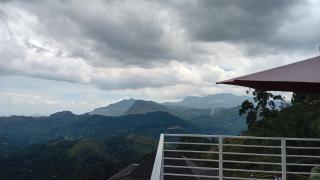 Windyhill Shalley - 6