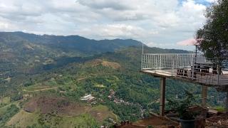 Windyhill Shalley - 7