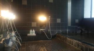 Hotel Honjin - 6